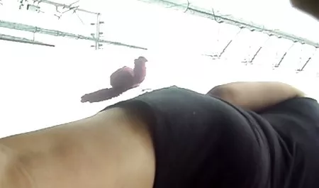 Dulce taboo en español xxx de paseo con los deportes