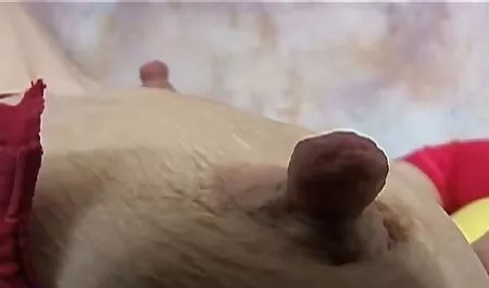 Rachel Roxy está listo para la gran polla anal en español hd